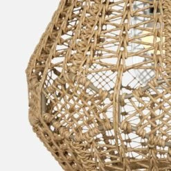 Lucille 12 Foot Pendant -Grayson-Living chaluci2024nt12ft 2 1