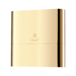 Christofle Concorde Variations Gold Stainless Steel Case Only