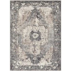Surya Chelsea CSA-2304 Rug -Grayson-Living csa2304 23