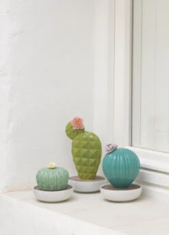 Lladro Ferocactus Cactus Diffuser -Grayson-Living ea8af0c4bcbf28ca3eca33faa00876a9448e6010e5d0b6dac632404521fada19b02245d6603815d45b3febe1d86accb773930fdd295384284ab8dbd62151b008