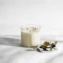 Michael Aram Butterfly Ginkgo Candle 10 Michael Aram Butterfly Ginkgo Candle -Grayson-Living michael aram butterfly ginkgo candle 265313