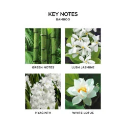 Nest Bamboo Luxury Candle -Grayson-Living nestnewyork bamboo keynotes 4 720x ea9f52bc 9520 424e 8f5f 462e9f6a66fe