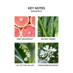 Nest Grapefruit Reed Diffuser 12 Nest Grapefruit Reed Diffuser -Grayson-Living nestnewyork grapefruit keynotes 4 720x e447db28 ceab 499a a1f5 7cbe992c232c