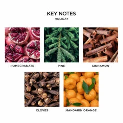 Nest Holiday Reed Diffuser -Grayson-Living nestnewyork holiday keynotes 720x 57c96d8e ada2 435b 9287 f36b3efbdaab