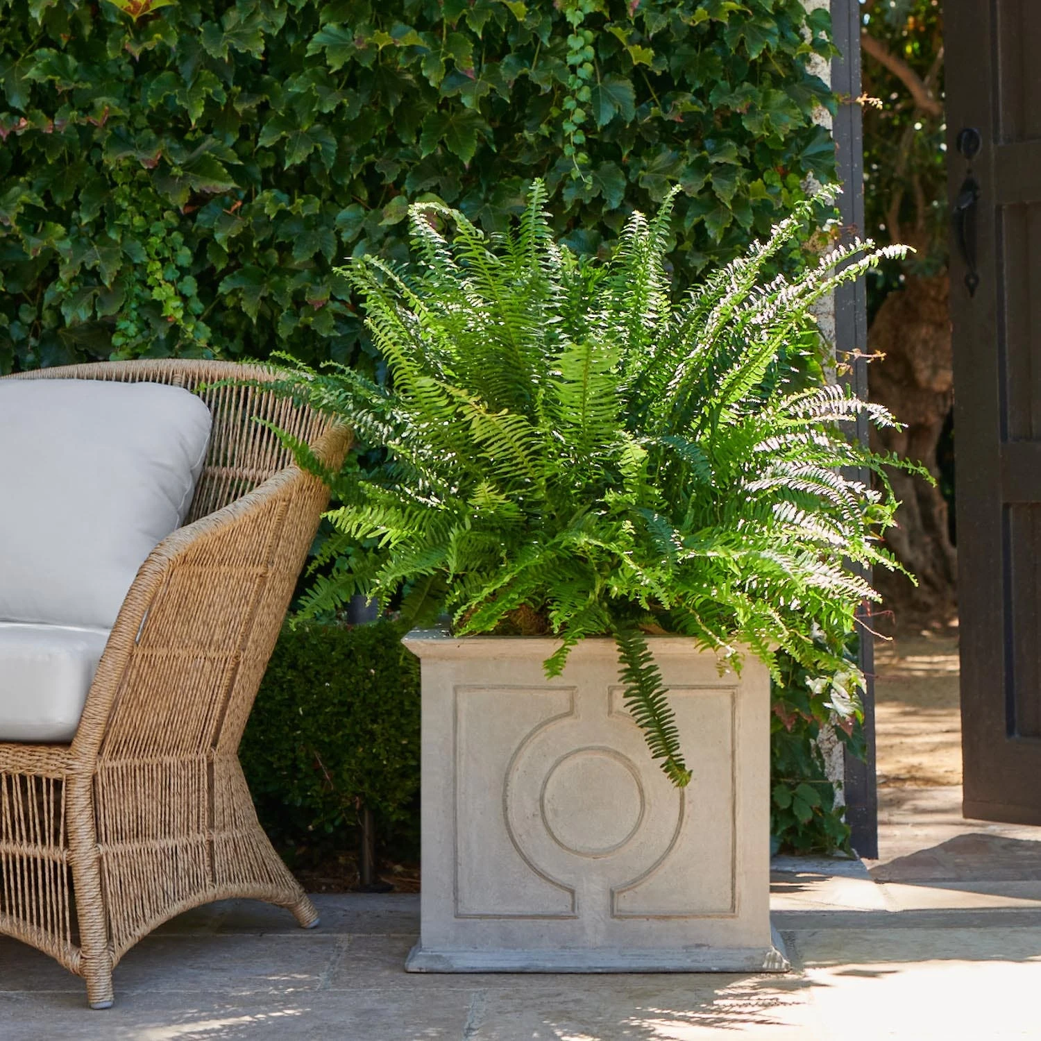 Odera Box Planter 2 Odera Box Planter - Image 2