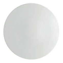 Raynaud Uni Sablé Buffet Plate Mat Glaze Band 2.8 Inches